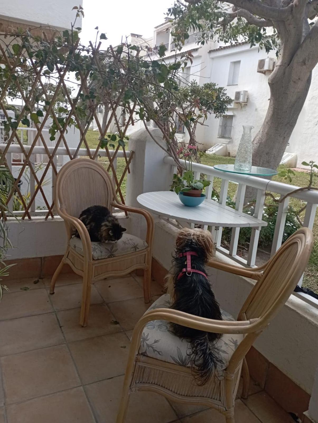 Apartamento Laguna Beach Torrox Costa Luaran gambar